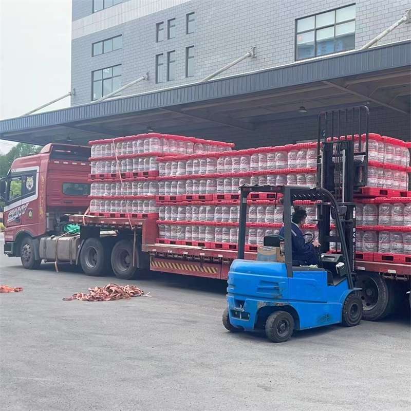石鼓区延平区物流：多元运输服务的魅力探索