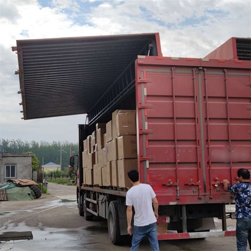 石鼓区扎囊县：物流专线的高效货运之旅